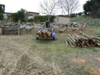 Transport des rondins jusqu’au chantier